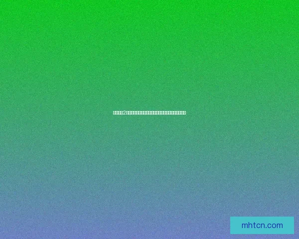 火炬之光2联机补丁安装与使用全攻略帮助玩家畅享多人游戏乐趣